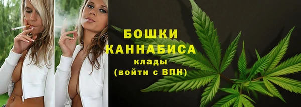 гидра Новодвинск
