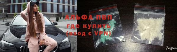 гидра Новодвинск