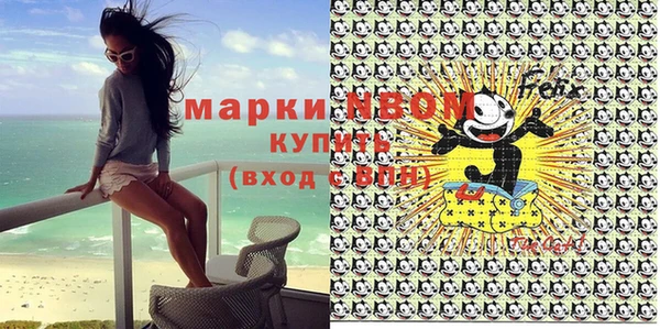 гидра Новодвинск