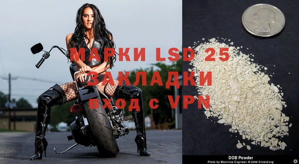 гидра Новодвинск