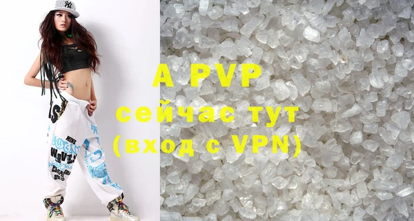 гидра Новодвинск