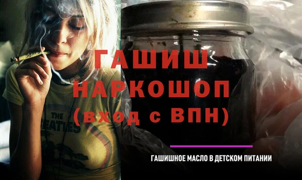 гидра Новодвинск
