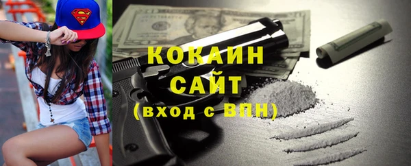 гидра Новодвинск