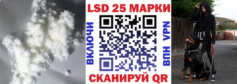купить наркоту  Новоаннинский  LSD-25 экстази ecstasy 