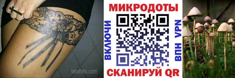 Псилоцибиновые грибы мухоморы  купить наркотик  Новоаннинский 